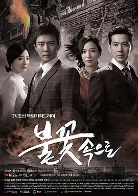 湖南seo优化网络公司